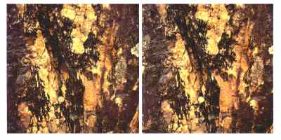 Stereophoto 17 (# 19870320-1501)