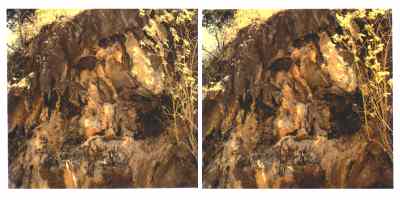 Stereophoto 35 (# 19870405.1121)