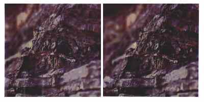 Stereophoto 24 (# 19870410.1118)