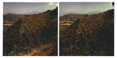 Stereophoto 40 (# 19870411.1216)