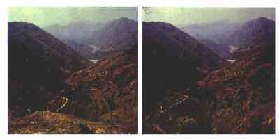 Stereophoto 48 (# 19870411.1421)