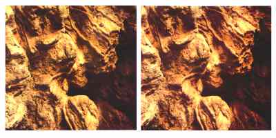Stereophoto 42 (# 19870411.1606)