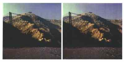 Stereophoto 50 (# 19870413.0741)