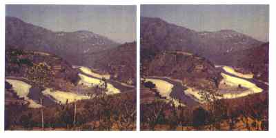 Stereophoto 55 (# 19870413.1746)