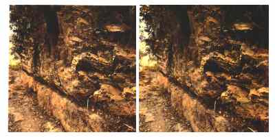 Stereophoto 37 (# 19870414.1445)