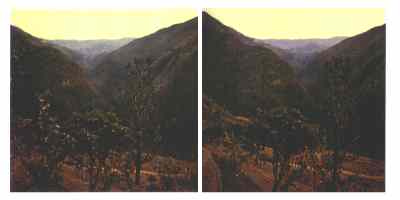 Stereophoto 31 (# 19870414.1816)