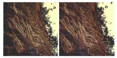 Stereophoto 46 (# 19870415.0833)