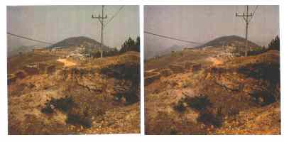 Stereophoto 29 (# 19870416.1446)