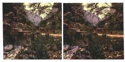 Stereophoto 38 (# 19870417.1711)