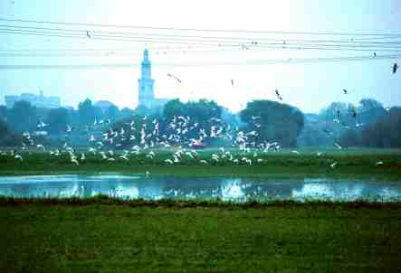 Foto # 19811104.0801