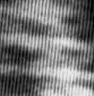 Holographic Pattern # 19820830.2201