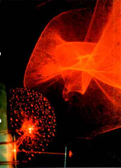 Foto # 19820916.2201