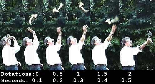 Picture # 20000824.1931