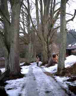 Picture # 20030302.1504