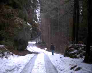 Picture # 20030302.1521