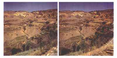 Stereophoto 14 (# 19870328.1141)