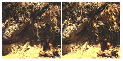 Stereophoto 34 (# 19870405.1152)