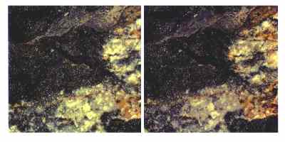 Stereophoto 28 (# 19870410.1117)