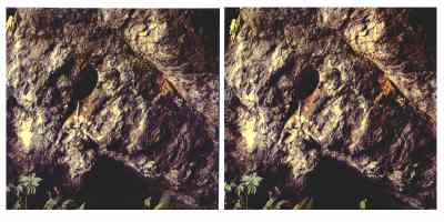 Stereophoto 43 (# 19870411.1605)