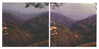 Stereophoto 30 (# 19870418.0851)